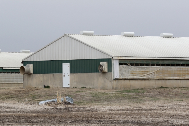 An animal confinement in northwest Iowa.