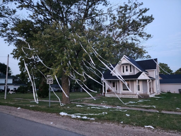 Toilet paper streamed from the trees in Bussey ahead of the Twin Cedars High School homecoming. Photo by Bob Leonard.