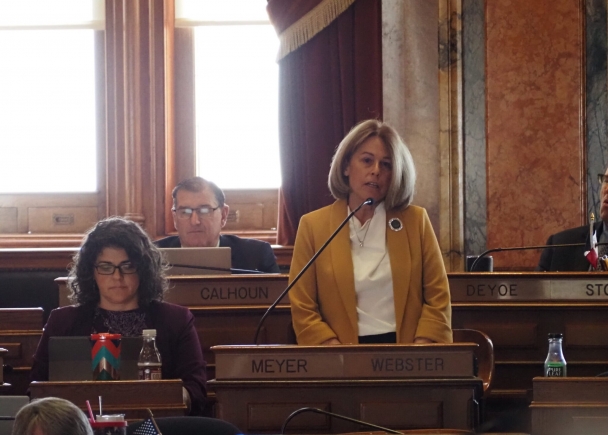 Rep. Ann Meyer, R-Fort Dodge, spoke on a bill lifting the statute of limitations specifically for child sexual assault victims